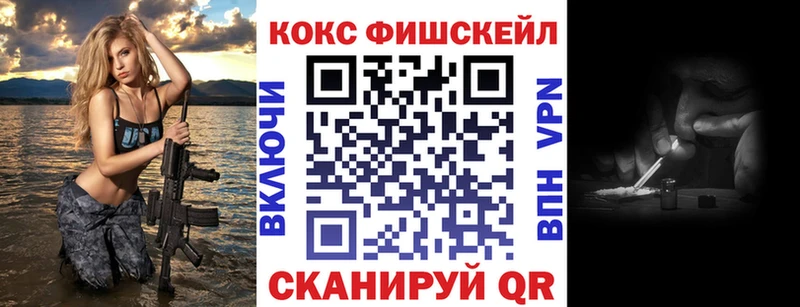 где купить   Ленинградская  ОМГ ОМГ ТОР  COCAIN Fish Scale 