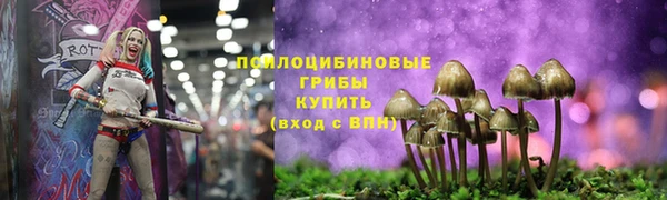 МДПВ Абинск