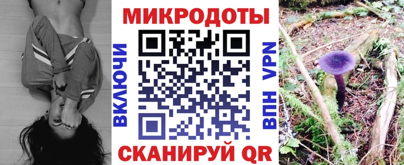 где найти   Ленинградская  omg как войти  Псилоцибиновые грибы Magic Shrooms 